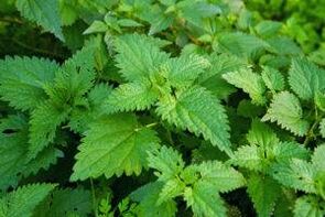 草药增加效力