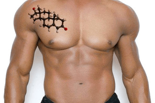 英俊的男性躯干